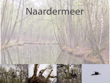 Naardermeer